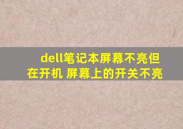 dell笔记本屏幕不亮但在开机 屏幕上的开关不亮